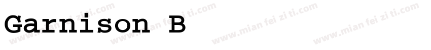 Garnison BoldMono字体转换